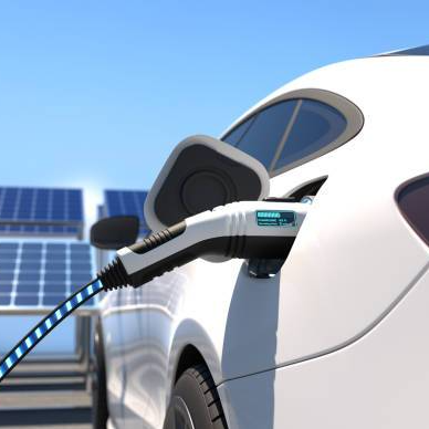 Solution Parking Branché