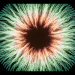 WHAT IS LEFT OF REALITY