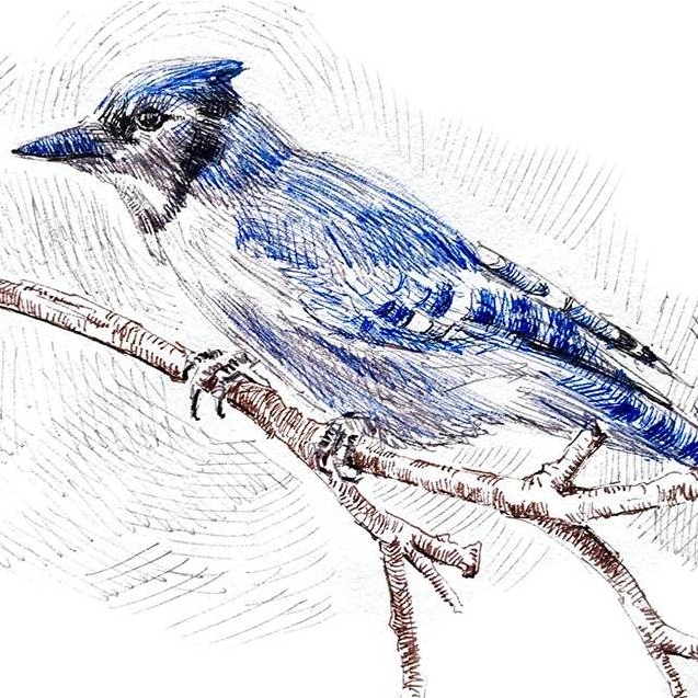 Winsor & Newton Fineliner Line Extension