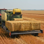 Accumulators: Vertical Stacker & Horizontal