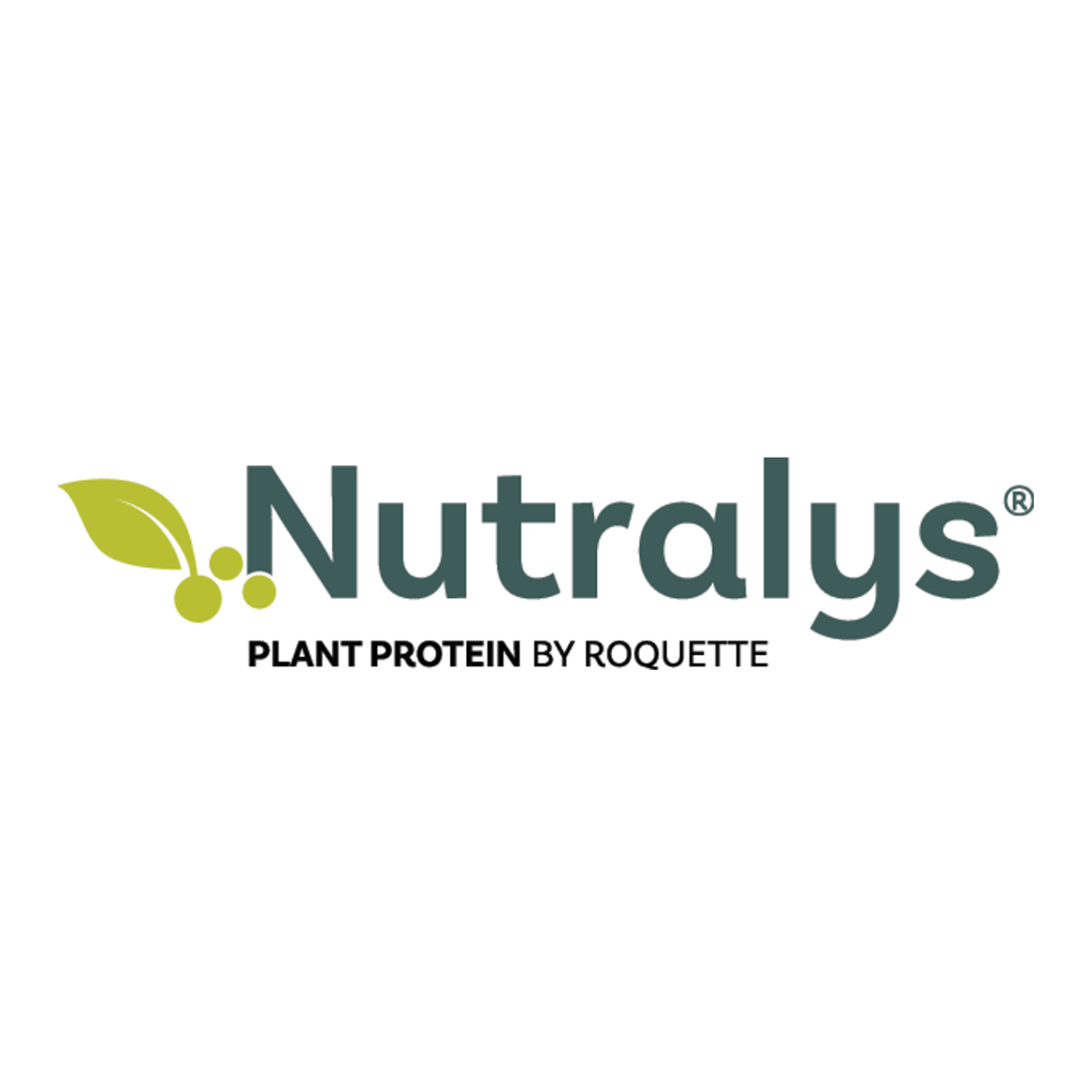 NUTRALYS® Plant Protein