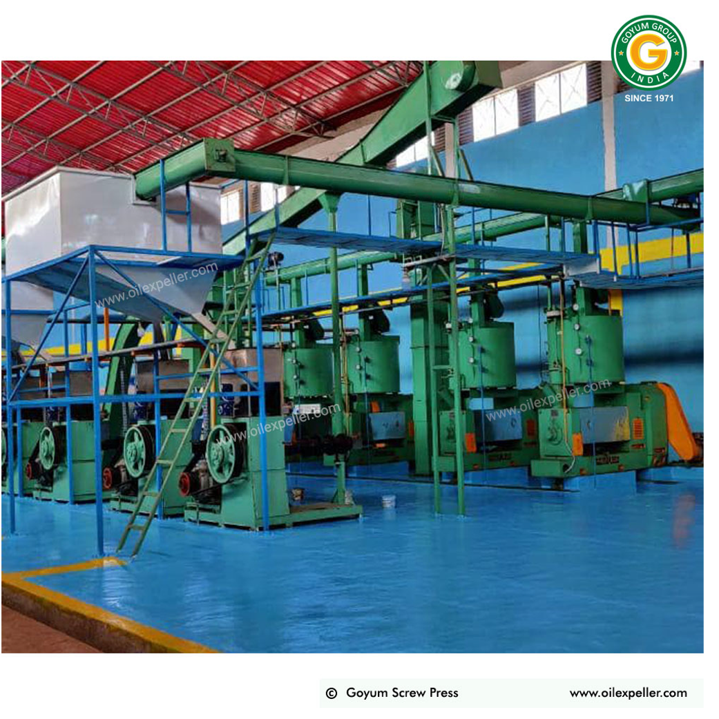 Soybean Oil Extraction Plant
