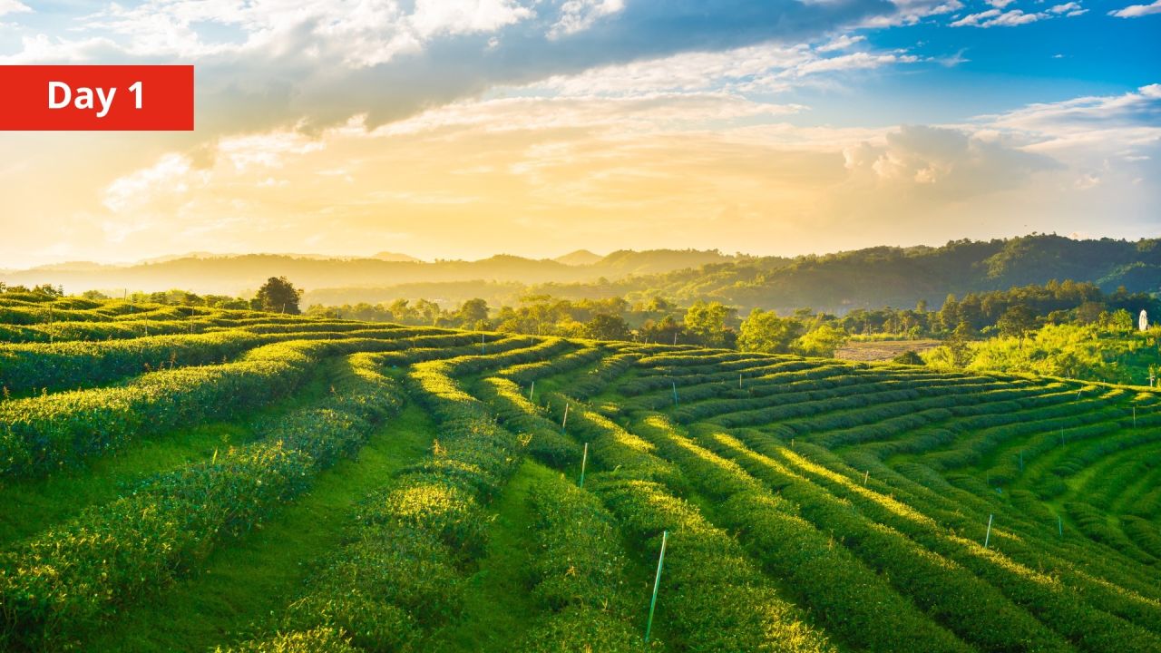 IMPACT LIVE: Driving Climate Resilience Through Blended Finance in Asia