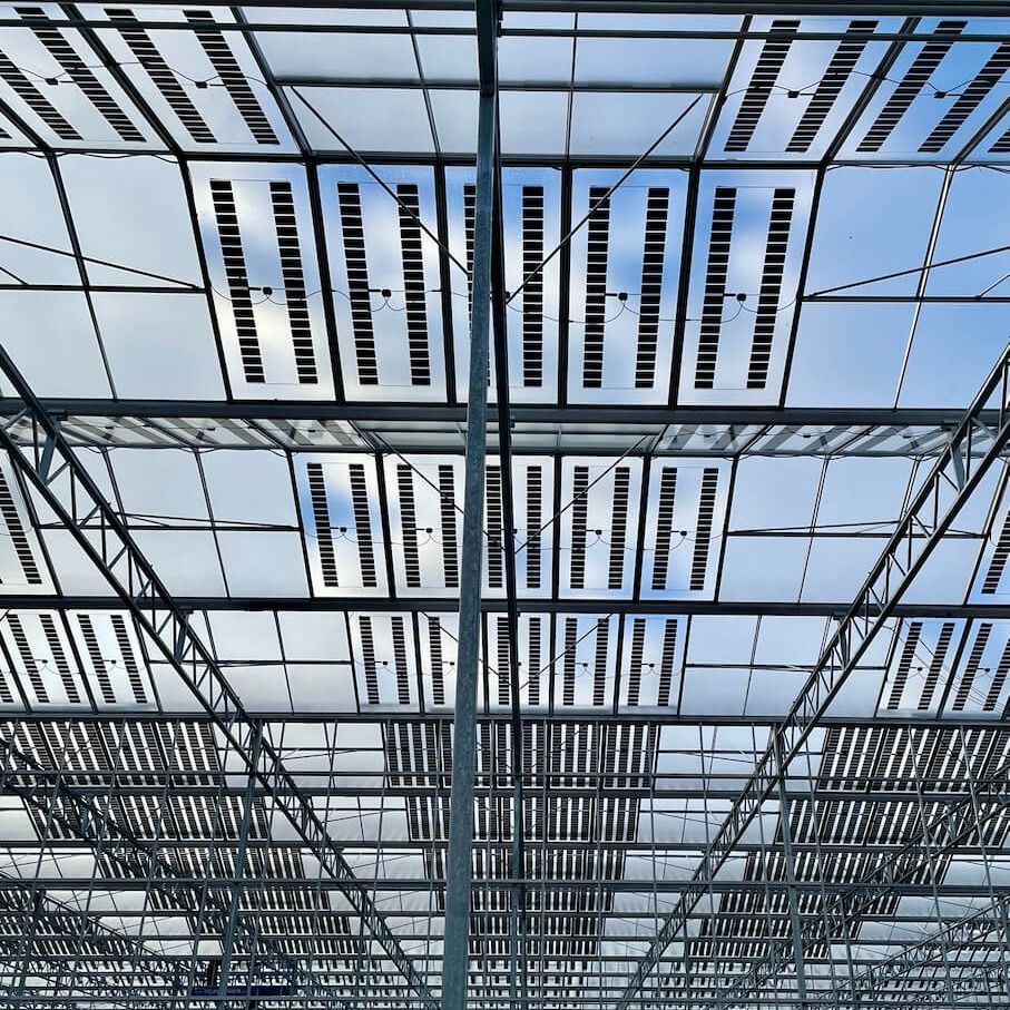 Projet Lubera | EWBuchs | Insolight