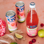 KYO Kombucha VIVE (unpasteurised) | Raspberry Lime