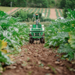 Oz, l'assistant agricole polyvalent