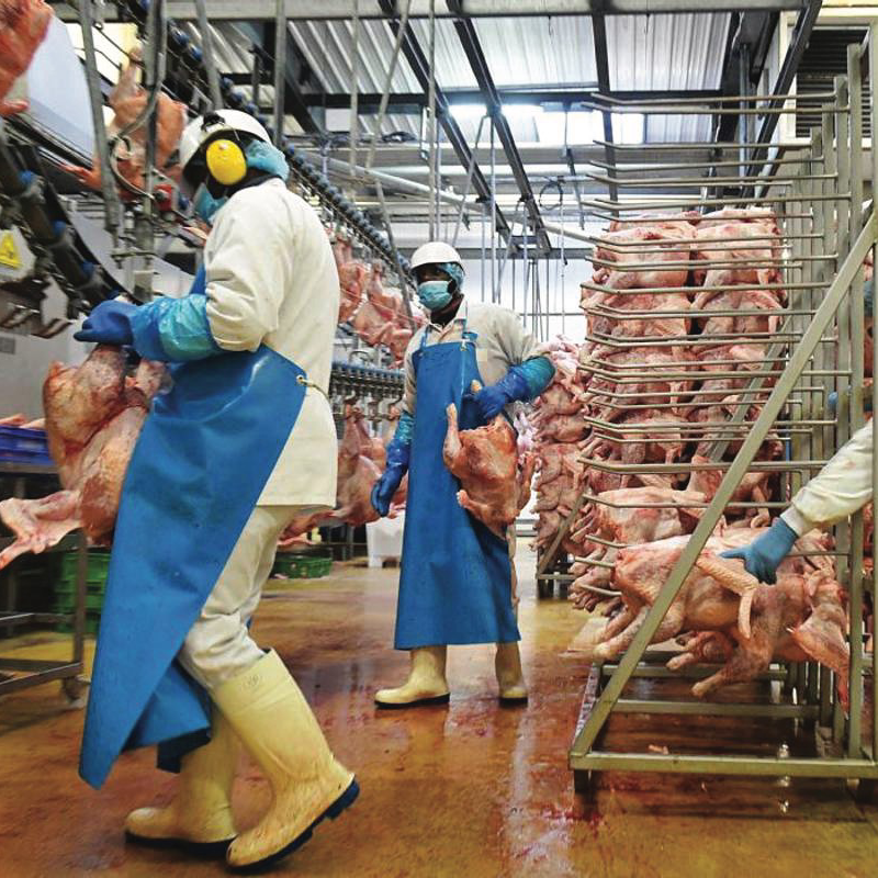 Food Industry: the Unappetising Truth