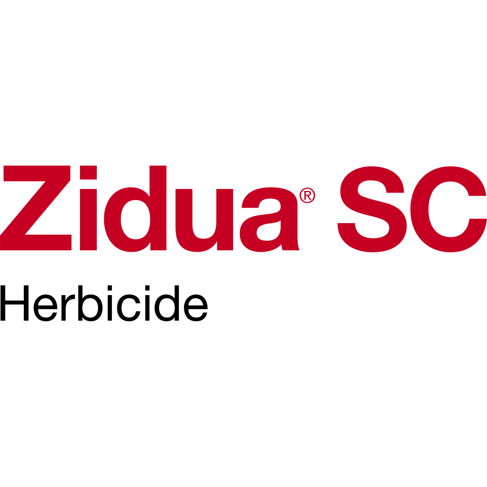 Zidua SC