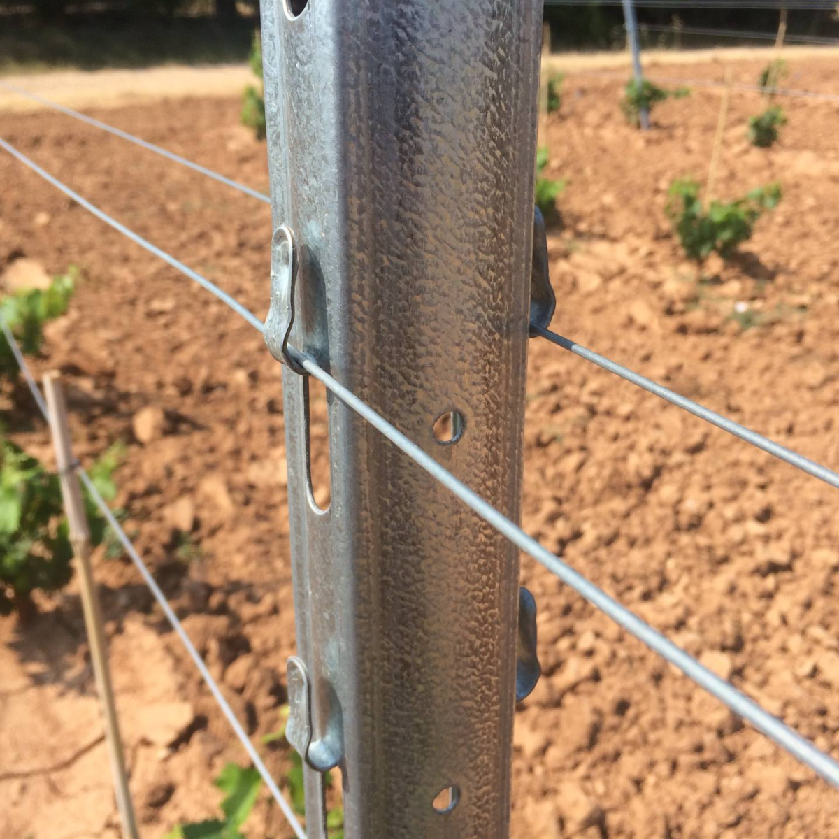 Fil à vigne Bezinal®