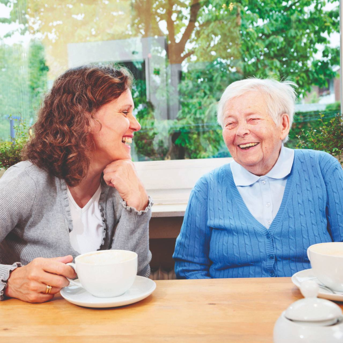 Téléassistance au domicile