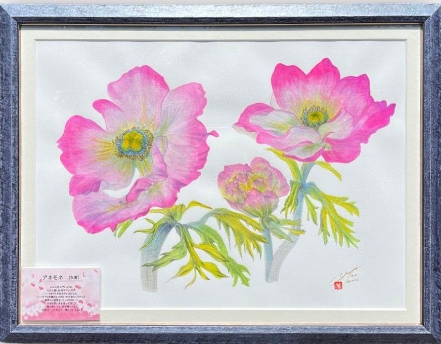 Friendship<Pink Anemone> / Yuji Kato