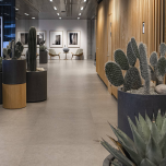 Offices in Copenhagen - Denmark - Lulu Mosquito