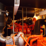 Bio Fuel Generating Set