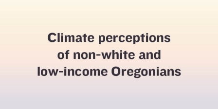 14. Brianne Suldovsky