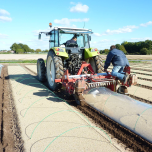 Arceau composite Flexeau