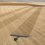 Brandt HP Torsion Harrows