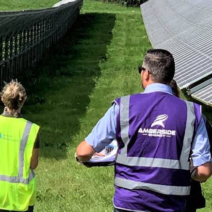 Investor Protection Services