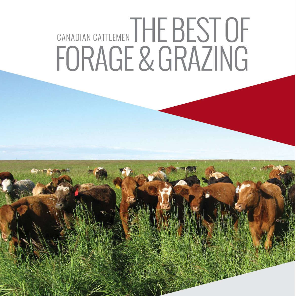 FORAGE & GRAZING | Canadian Cattlemen