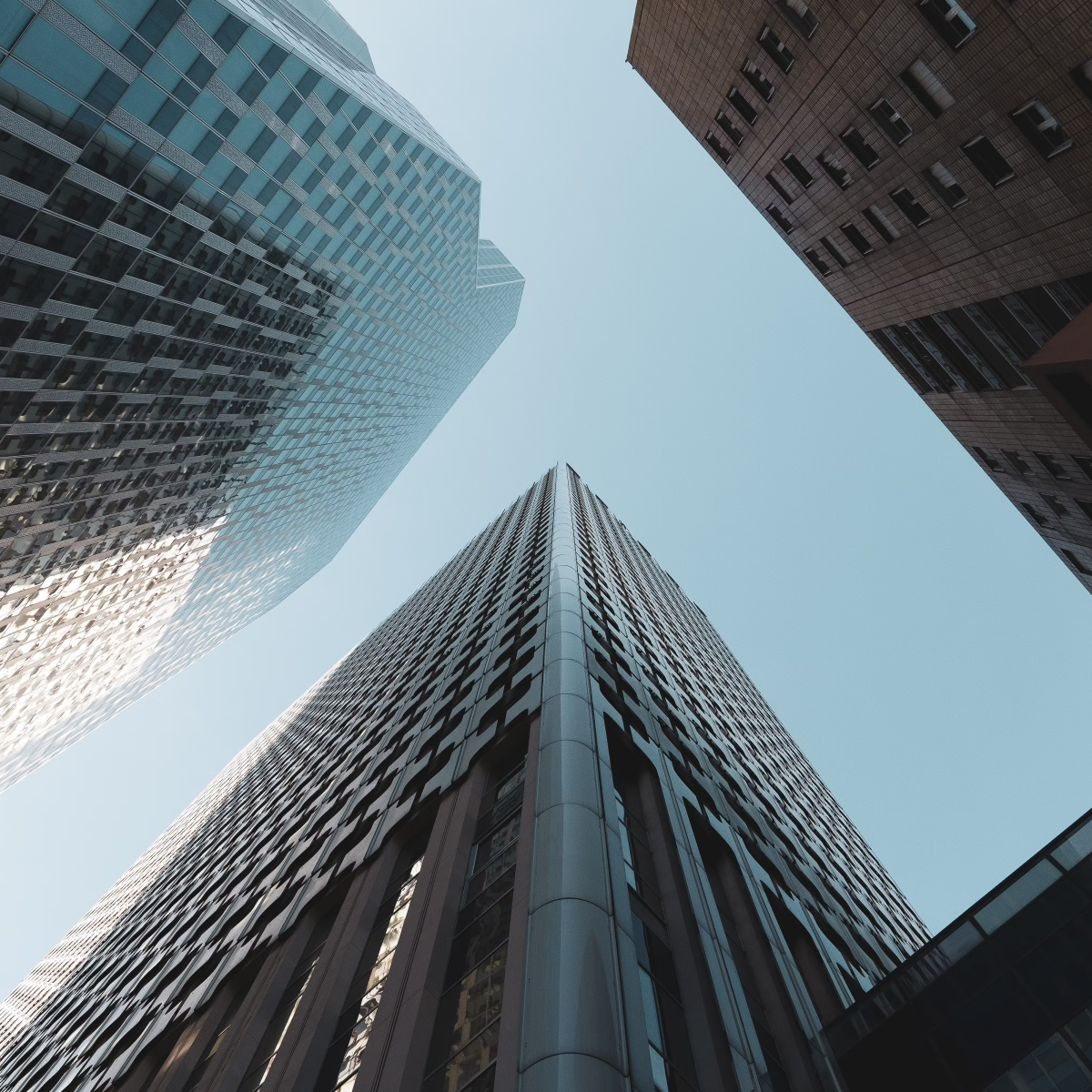 Internal Investigations