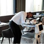 Plato, first serving cobiot