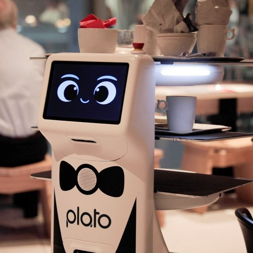 Plato, first serving cobiot