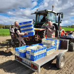 Sélection variétale