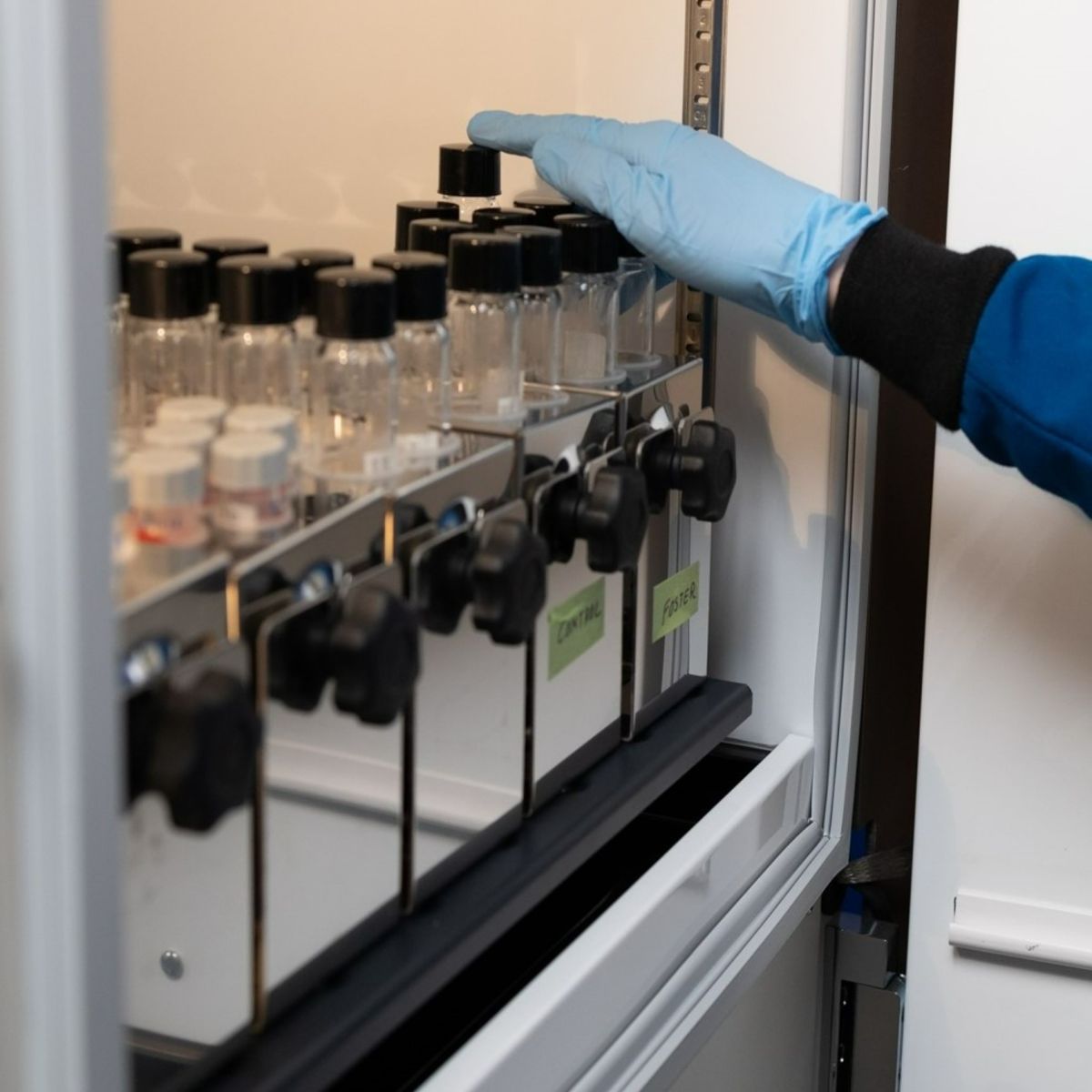 Celanese Development & Feasibility Lab Services