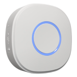 Shelly Button 1 - Negro/Blanco