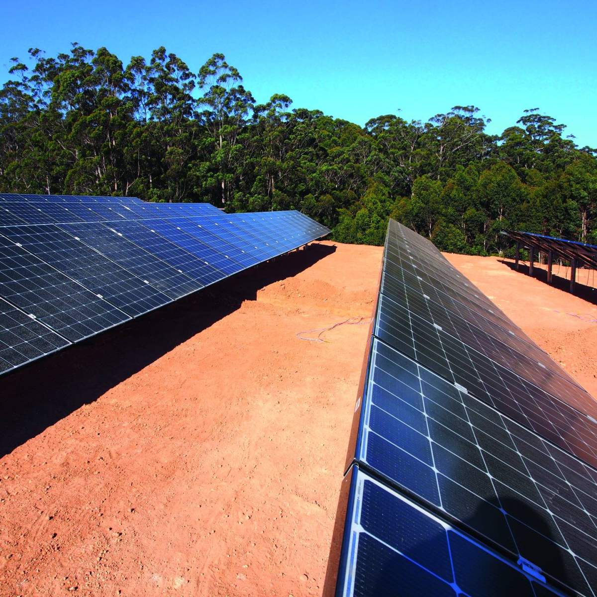 Avocado Farm - Off Grid