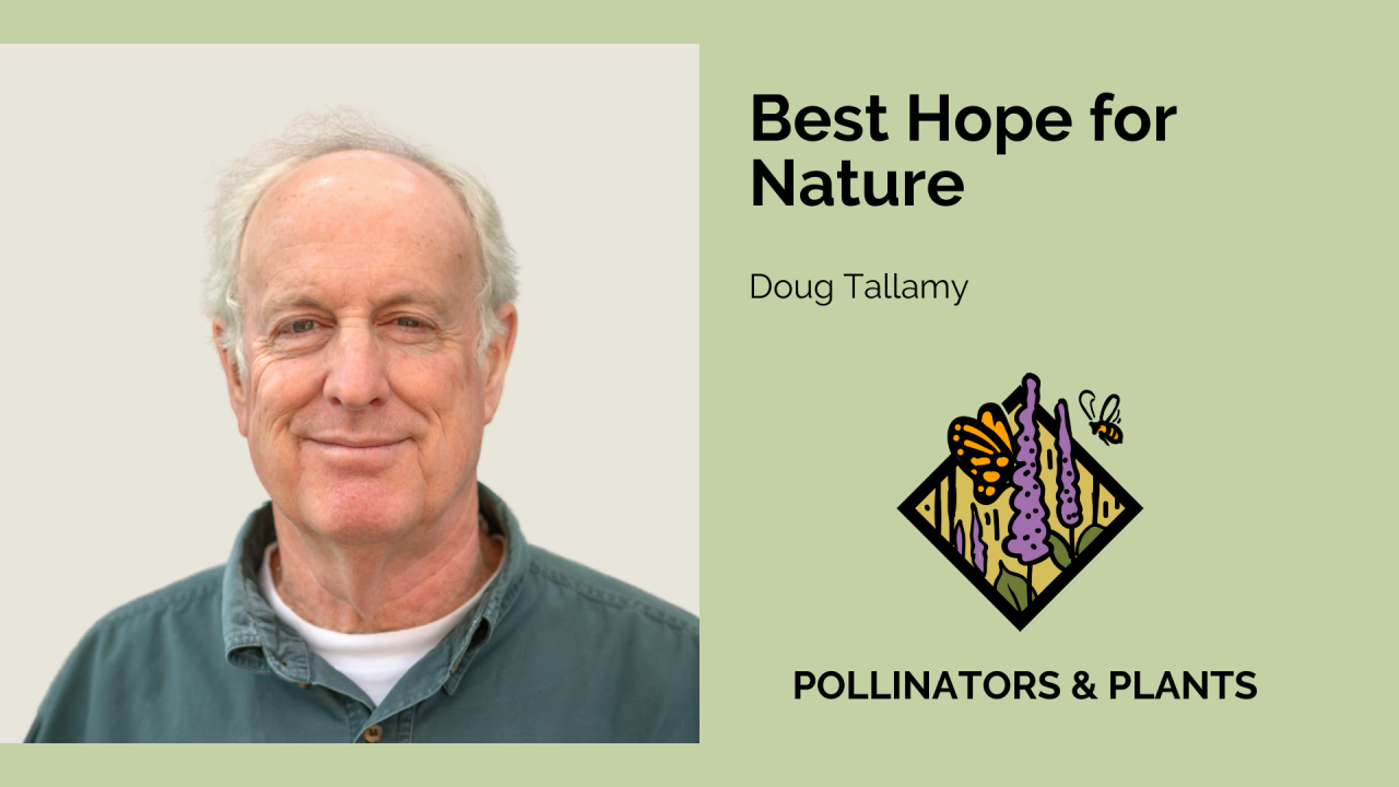 Nature's Best Hope with Doug Tallamy