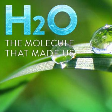 H2O: The Molecule that Made Us
