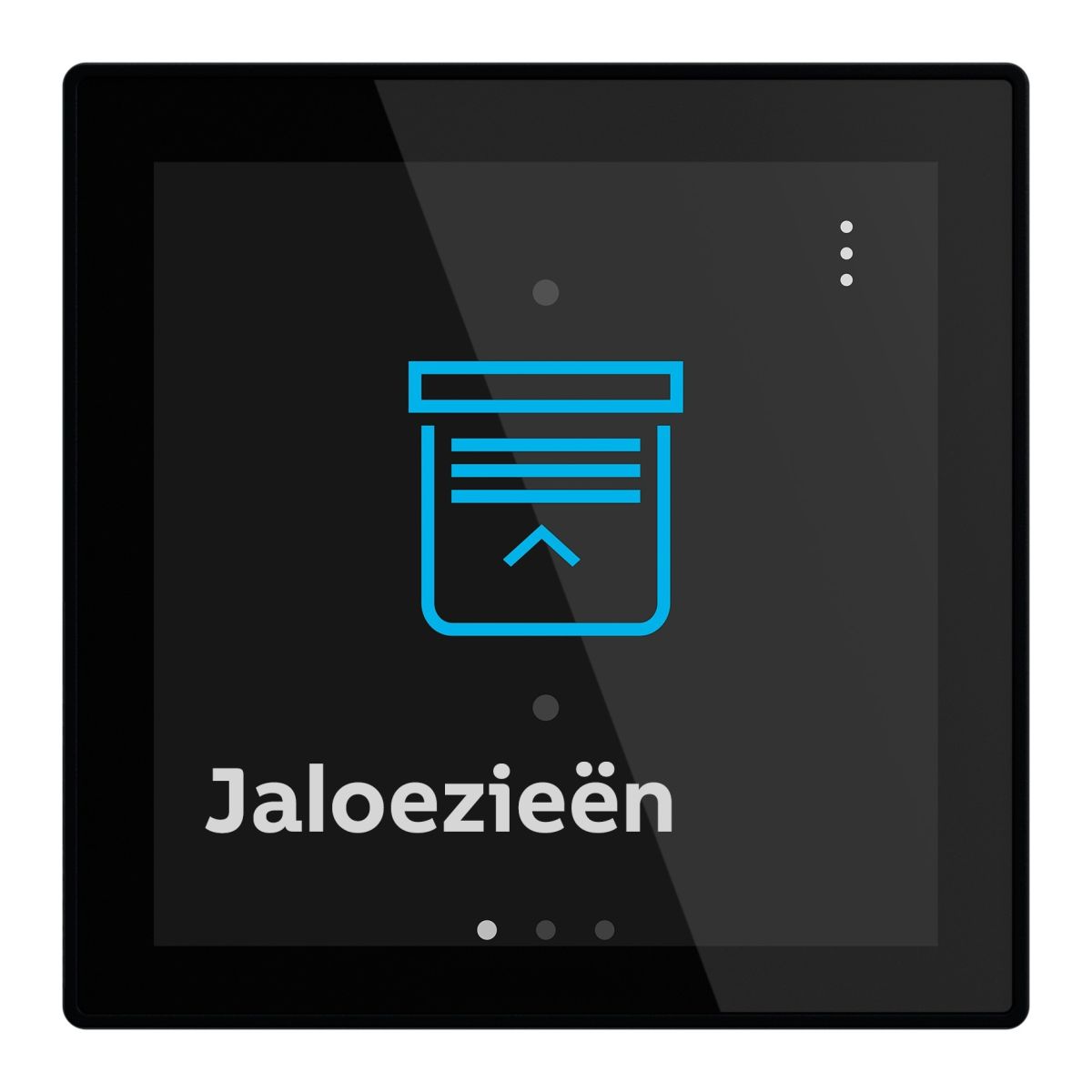 Busch-RoomTouch® 4”