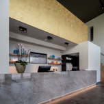 Dekton Stonika Collection