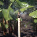 COUVERTURE INTÉGRALE / Solid Set Irrigation