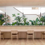 Dentons Office, Netherlands