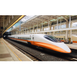 Case Study: High Speed Rail