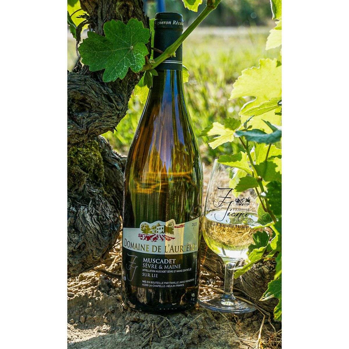 Domaine de l'Auriere