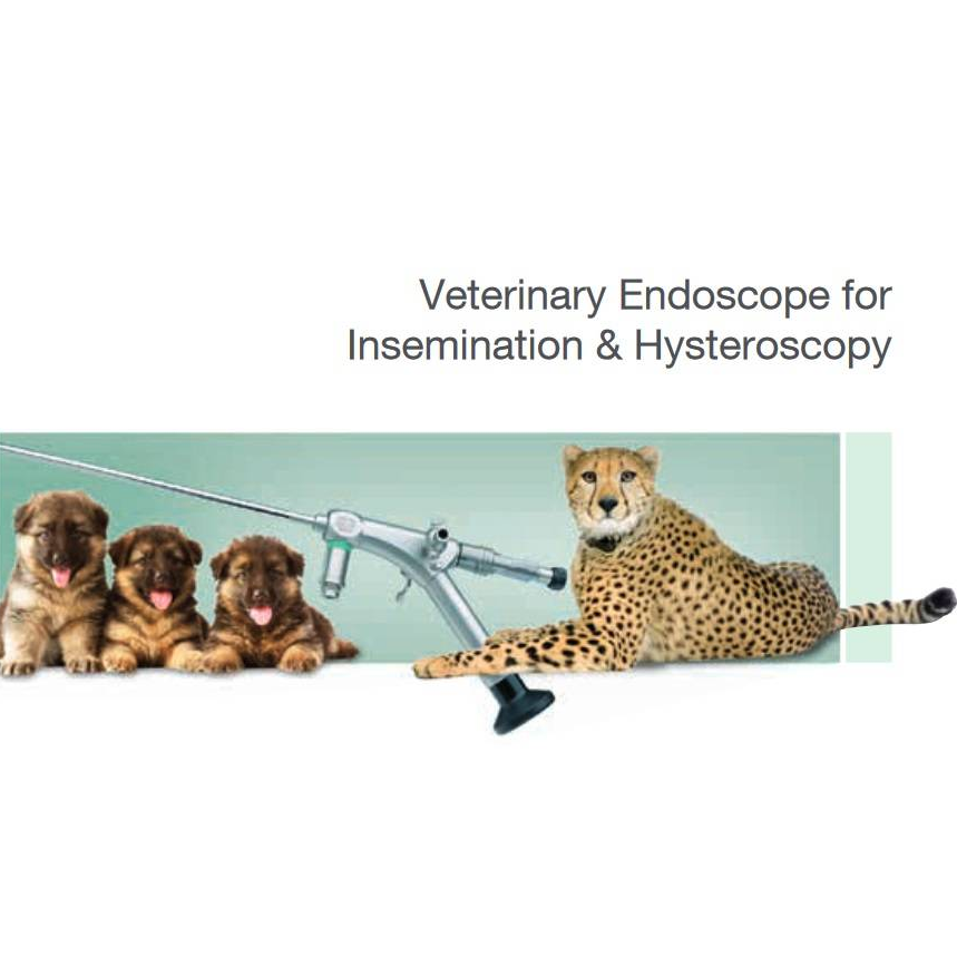 Veterinary Endoscope for Insemination & Hysteroscopy
