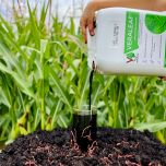 Biostimulants Veragrow