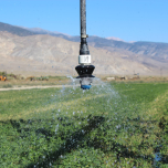 ARROSAGE MÉCANISÉ / Mechanized Irrigation