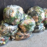 Hydropol™ Pellets to make digestible Food Waste Bags for Anaerobic Digestion