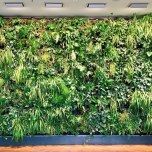 AMALION® - Light for indoor greenery