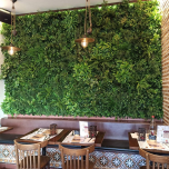 Mur végétal artificiel