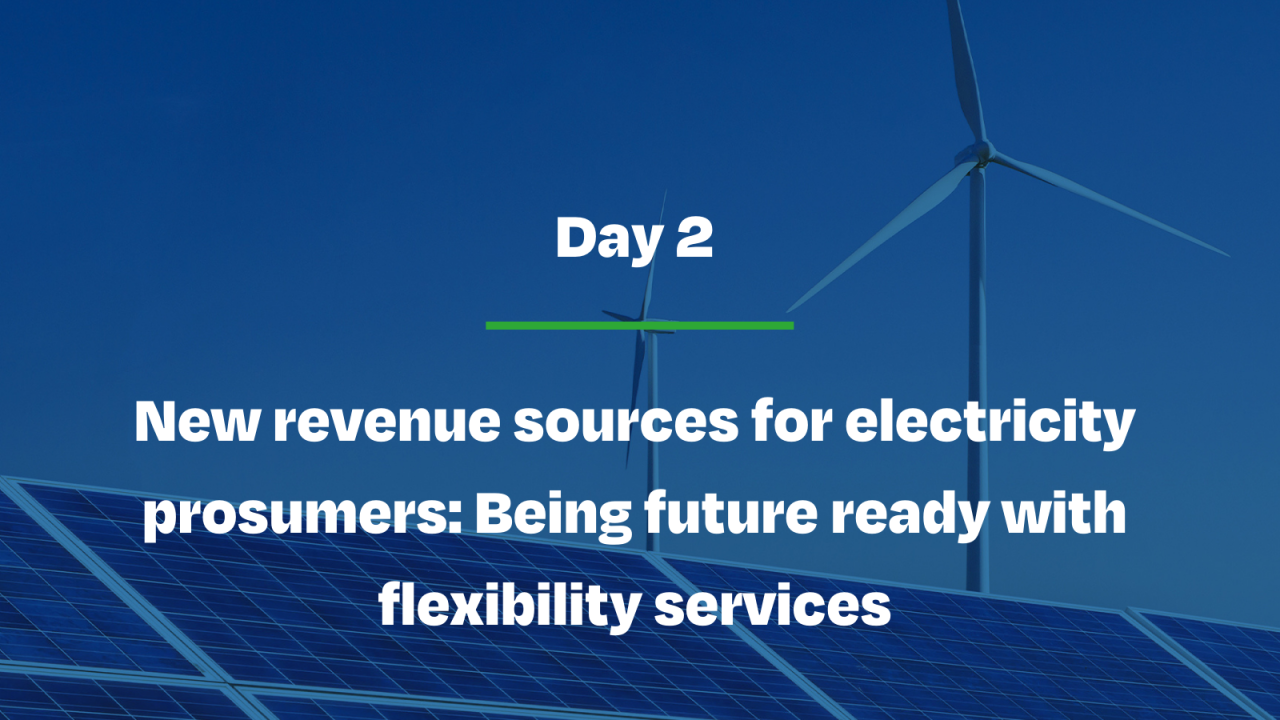 New revenue sources for electricity prosumers: Being future ready with flexibility services