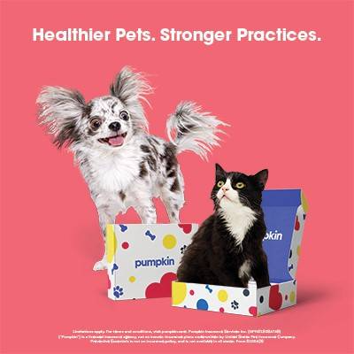 Pumpkin Pet Insurance
