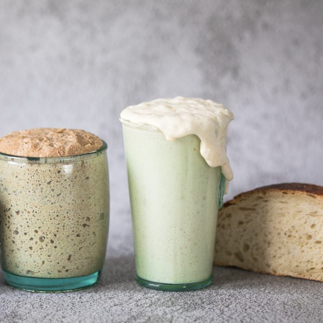 Le levain dans tous ses états