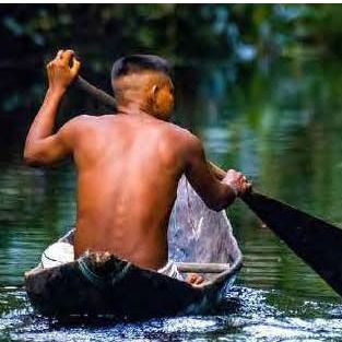 Amaz(sonic) - Eco do rio