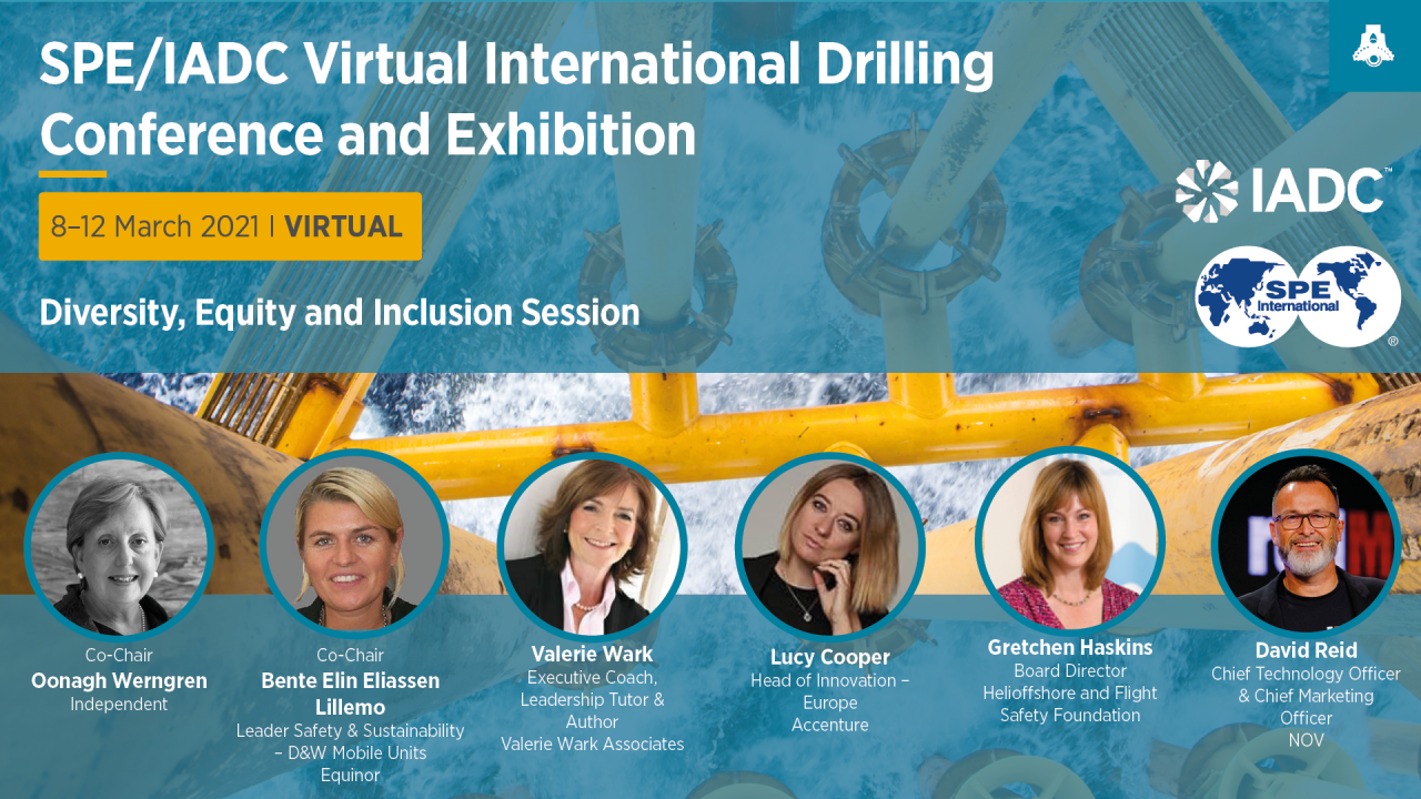 Diversity, Equity and Inclusion Session