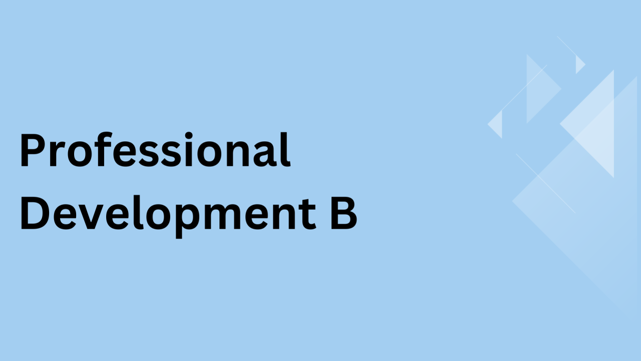 Professional Development B
