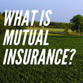 What is Mutual Insurance? | Ontario Mutuals | Auto | Farm | Commercial | Home